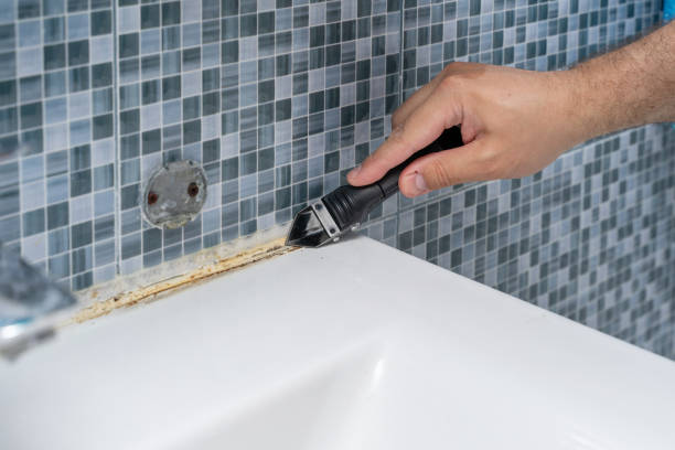 Best Local Mold Removal Service  in Germantown, OH
